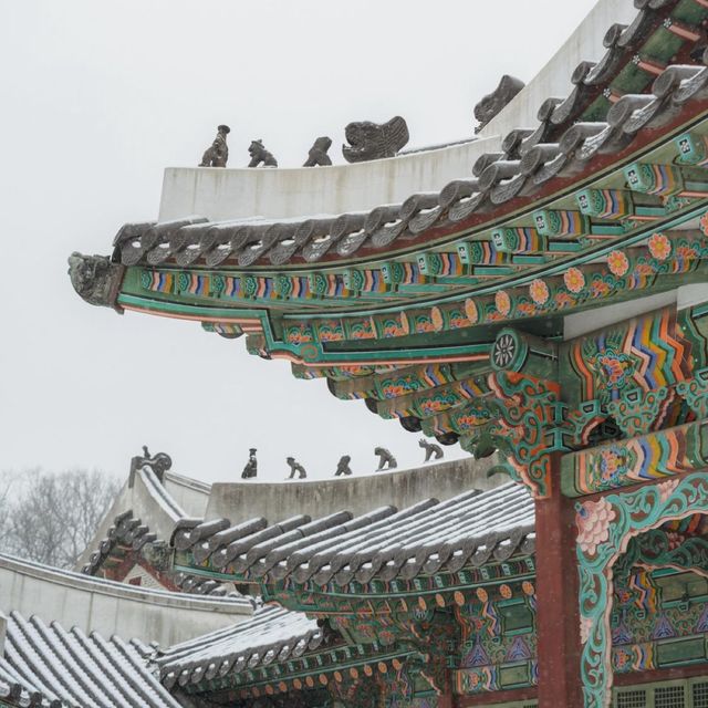 고궁에서 만나는 새하얀 설경 창덕궁 