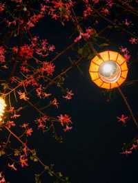 「廣州北京路大佛寺」🎋- 歷經千年的古寺🏮🏮