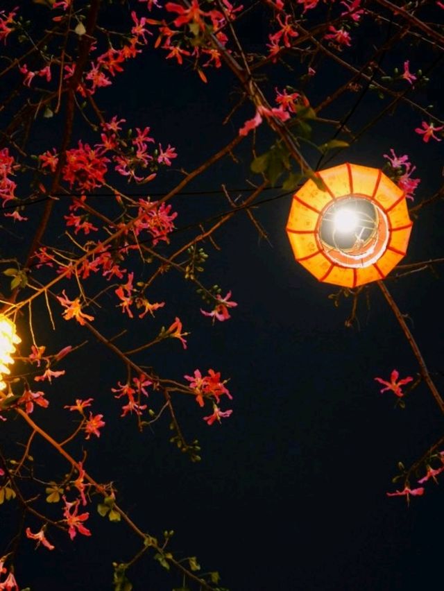 「廣州北京路大佛寺」🎋- 歷經千年的古寺🏮🏮
