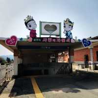 【慶州 佛國寺】世界文化遺產 賞櫻熱門地點🌸
