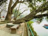 The serene shores of Phewa Lake.