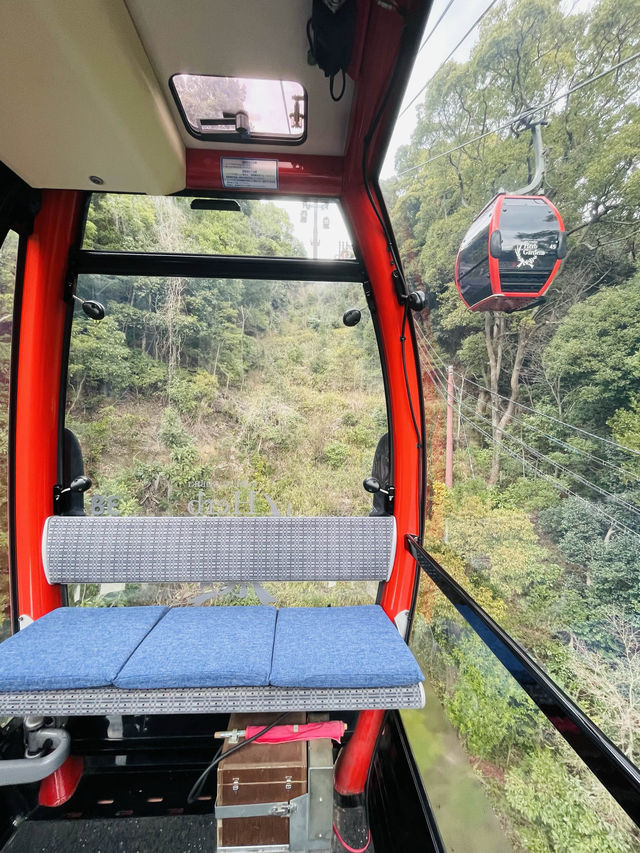 【兵庫観光】10分間の空中散歩！布引ハーブ園のロープウェイで絶景を楽しむ！