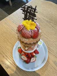 【福岡カフェ】店内にある見上げるぐらい大きなベンジャミンの木が印象的なカフェ
