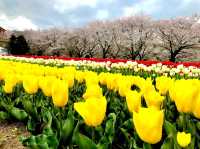 Fukaya Green Park