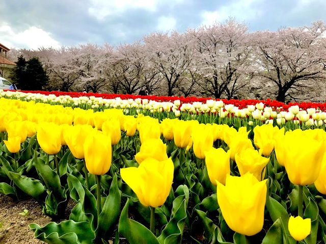 Fukaya Green Park