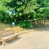 【十鼓仁糖文創園區】臺南必去親子景點，適合全年遊玩