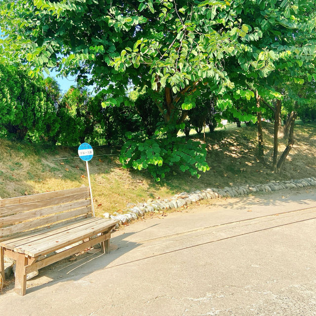 【十鼓仁糖文創園區】臺南必去親子景點，適合全年遊玩