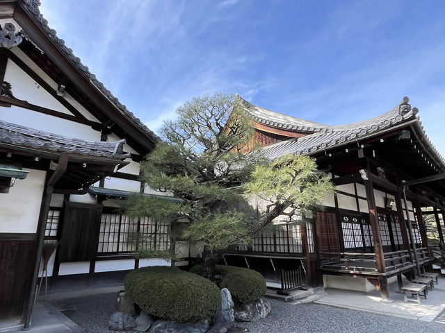 【宇治/京都】世界遺産✨平等院と美しい庭園