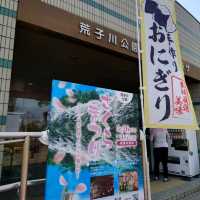 名古屋市の桜名所「荒子川公園」