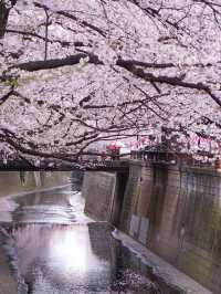 Meguro River
