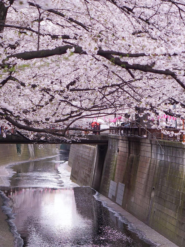 Meguro River