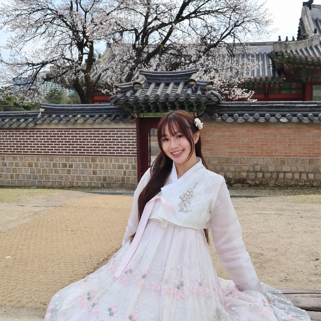 Hanbok: Gyeongbokgung Palace 🌸 