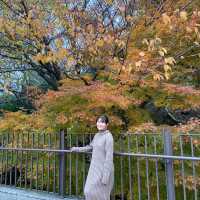 Kobe Nunobiki Herb Gardens&Ropeway