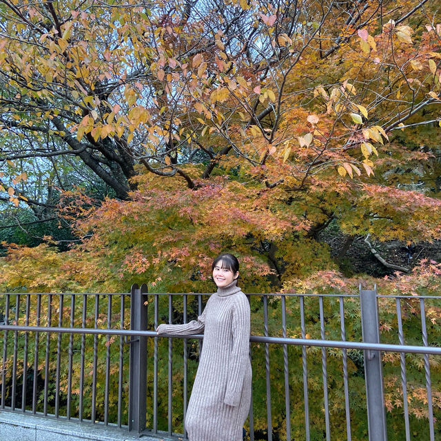 Kobe Nunobiki Herb Gardens&Ropeway