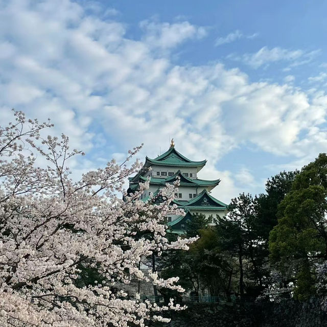 弘前城公園：春天櫻花浪漫景緻