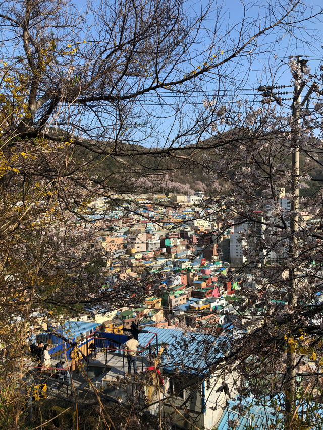 부산에 오면 꼭 가봐야 할 '감천문화마을' 즐기기 