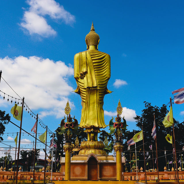 วัดป่าไทรทอง