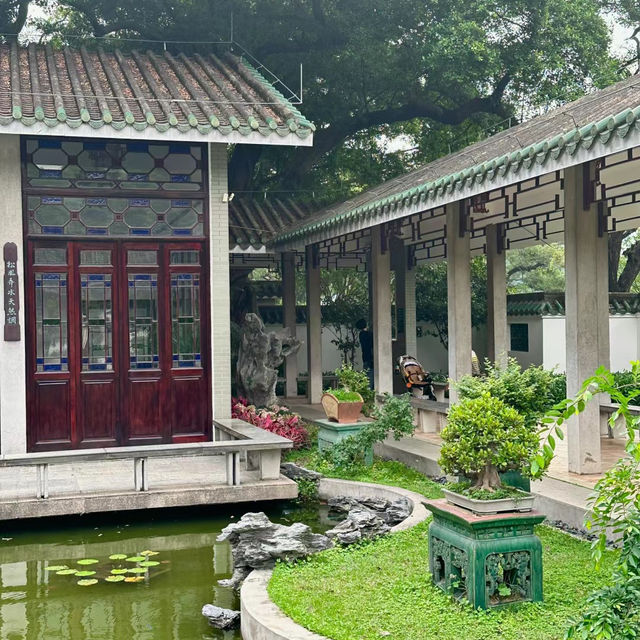 台北光信公園：城市綠洲中的和諧與活力 🌳🌞