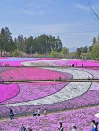 【埼玉】GWのスタートを特急列車に乗って行こう‼️秩父にあるピンクの絶景✨※ほか観光情報付き