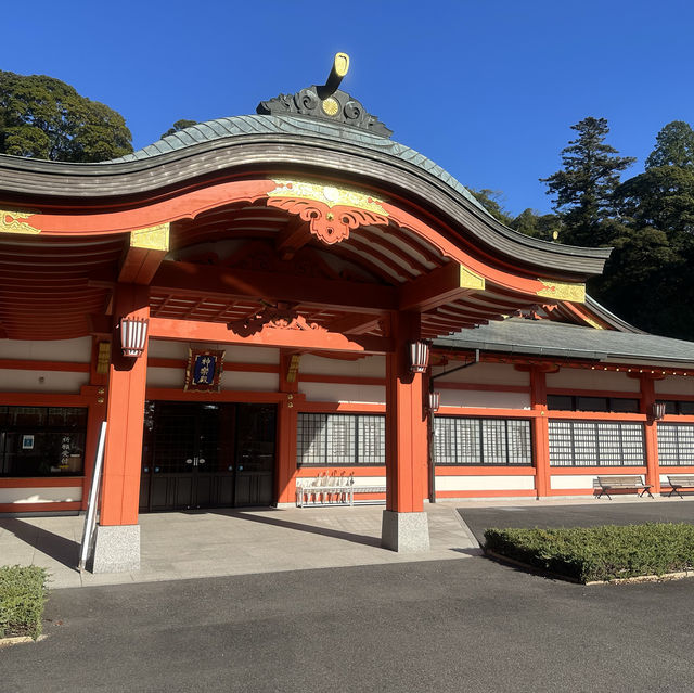 【霧島神宮】值得參觀的古老神社⛩️