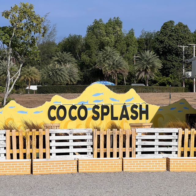 🌵Coco One Beach 