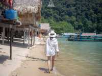 One Day Trip หมู่เกาะสุรินทร์ 