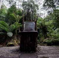 Discovering the Hidden Gem of Mount Fortescue Circuit