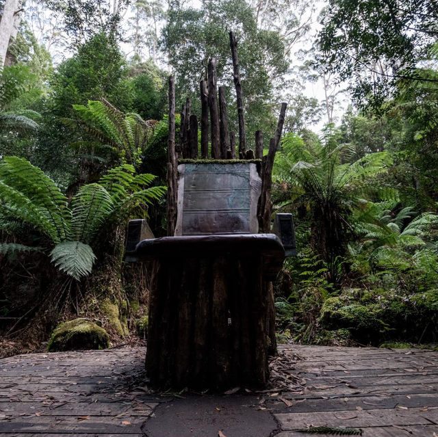 Discovering the Hidden Gem of Mount Fortescue Circuit