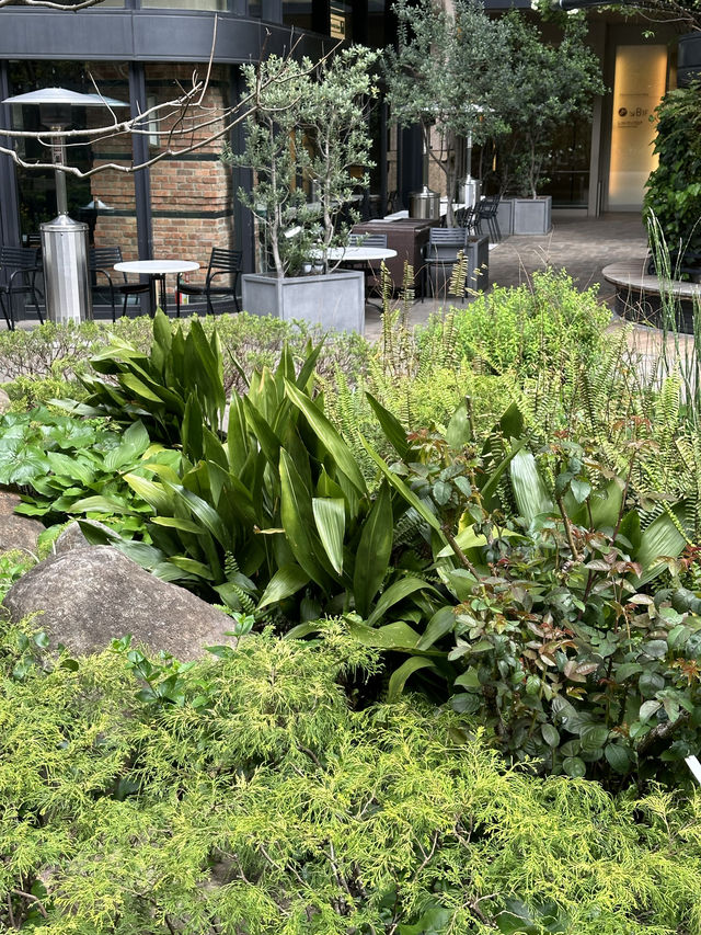  ⛲️ 건축과 정원, 🍀 클래식한 봄을 즐길 수 있는 도쿄 히비야 여행지 추천