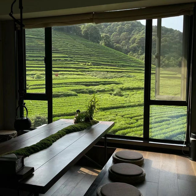 臺北茶鄉景點～農林熊空茶園～山水景緻