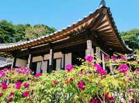 Ojukheon 오죽헌