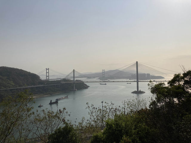 春天行山，新手路線一路平坦