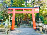 An historic Buddhist temple in the east of Kyoto 🇯🇵