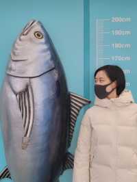 【雨の日のお出かけに☔️葛西臨海水族館🐠】