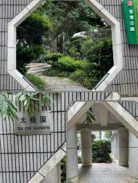 🌟 香港公園之美：太極園與360度鳥瞰角探秘 🏞