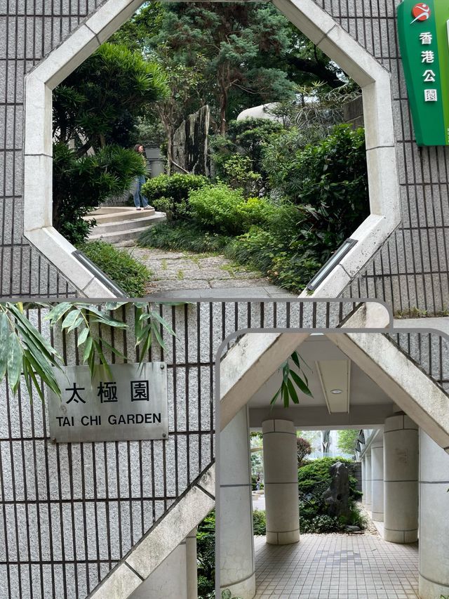 🌟 香港公園之美：太極園與360度鳥瞰角探秘 🏞