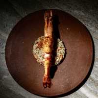 TAAN