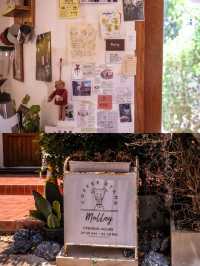 Molley Coffee Stand คาเฟ่หัวหินน่ารักนุบนิบ 🏠