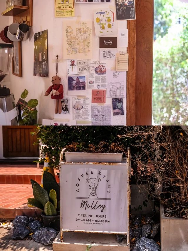 Molley Coffee Stand คาเฟ่หัวหินน่ารักนุบนิบ 🏠