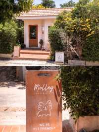 Molley Coffee Stand คาเฟ่หัวหินน่ารักนุบนิบ 🏠