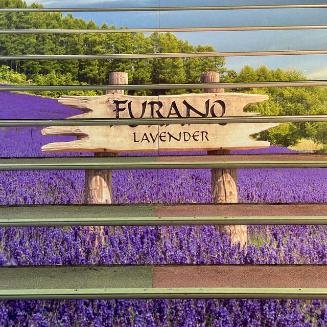 Gateway to Scenic Furano Wonders