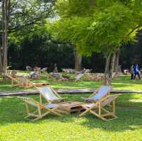 Mulberry Mellow คาเฟ่สุดกรีนสำหรับคนรักธรรมชาติ 