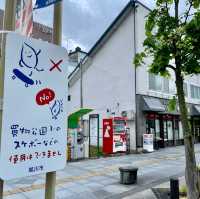 Discover Delight at Heiwadori Park