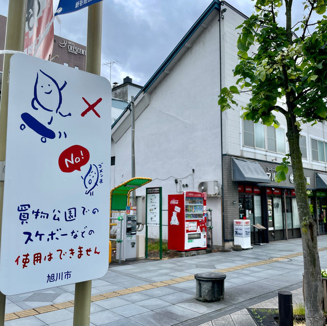 Discover Delight at Heiwadori Park
