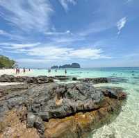 BAMBOO ISLAND 