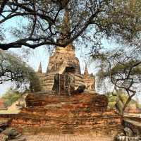 วัดพระศรีสรรเพชญ์ ต้นแบบวัดพระศรีรัตนศาสดาราม 