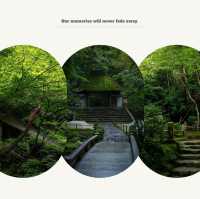 「增上寺：東京歷史寺廟，不容錯過！」