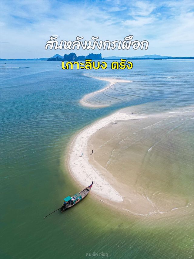 สันหลังมังกรเผือก เกาะลิบง