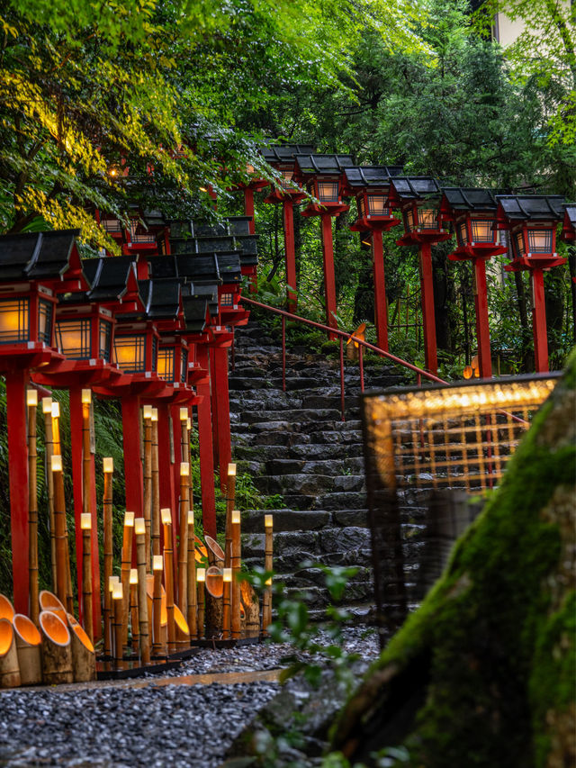 初日に行っちゃダメ『貴船神社』七夕笹飾りライトアップが開催中7/1~8/16まで🎋
