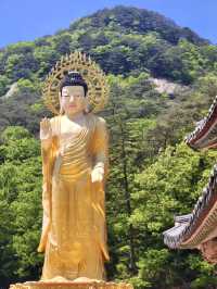 역사의 흔적이 느껴지는 🌟불교의 보물이 많은 🏞️ 충청북도 속리산 사찰여행지 추천